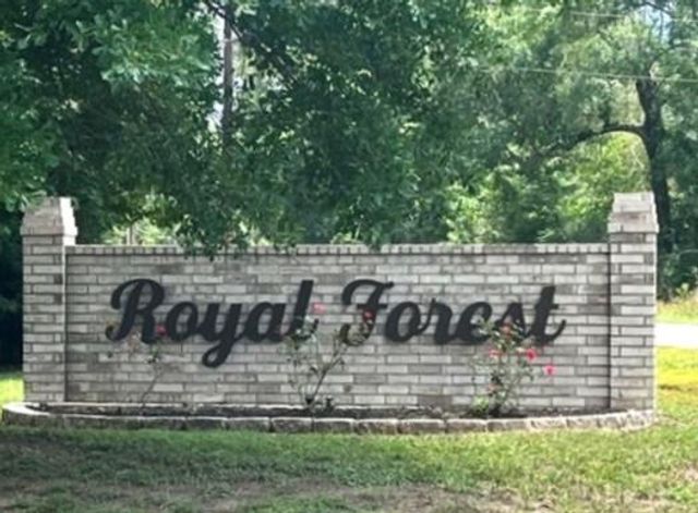 tbd Royal Springs Road, Conroe, TX 77303