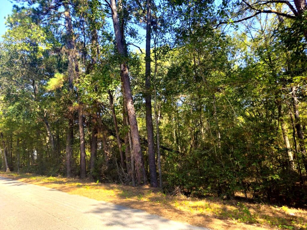 tbd Royal Springs Road, Conroe, TX 77303
