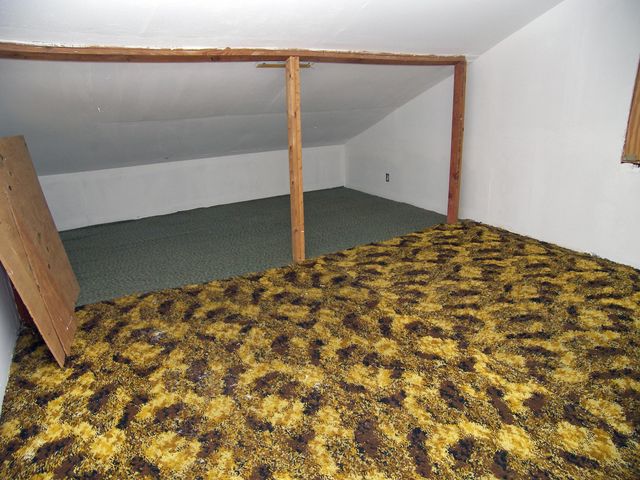 9 Pequannock Road, Goose Creek, SC 29445