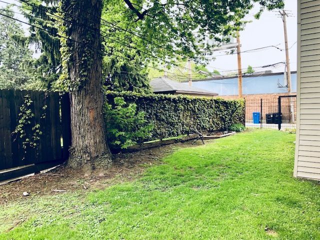 1911 W Foster Avenue 2, Chicago, IL 60640