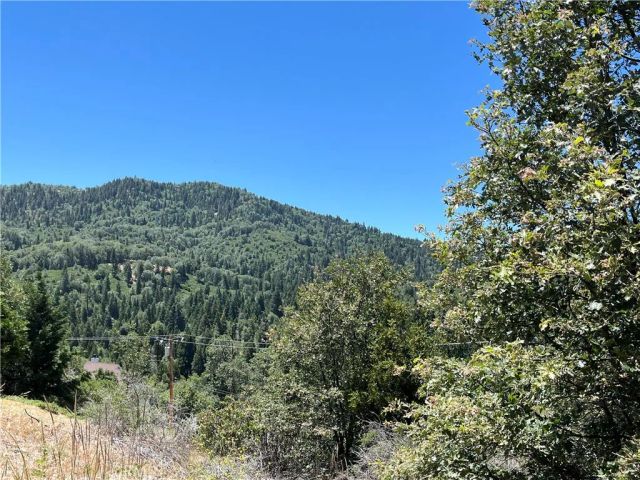 0 Balsam, Cedar Glen, CA 92321
