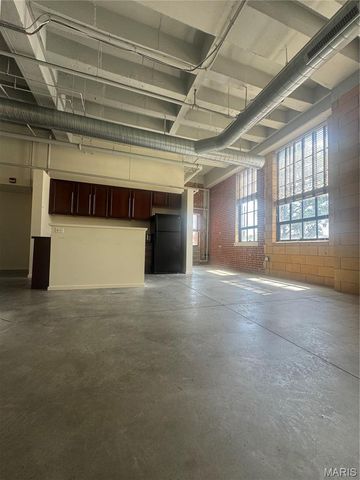 1720 Chouteau Avenue 105, St Louis, MO 63103