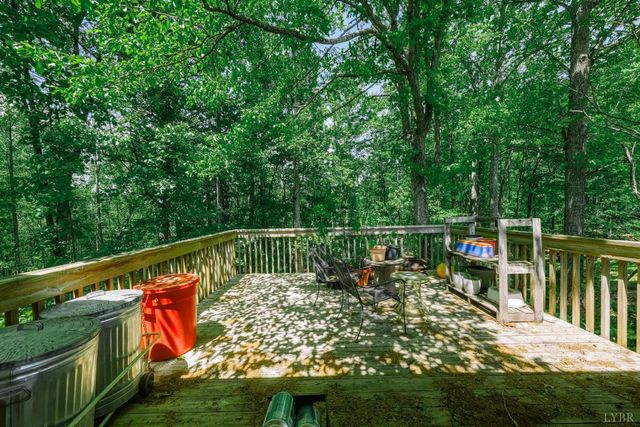 107 Shepherd Lane, Bedford, VA 24523