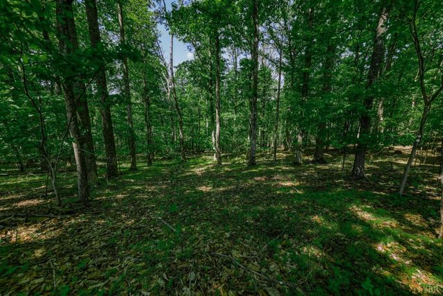 107 Shepherd Lane, Bedford, VA 24523