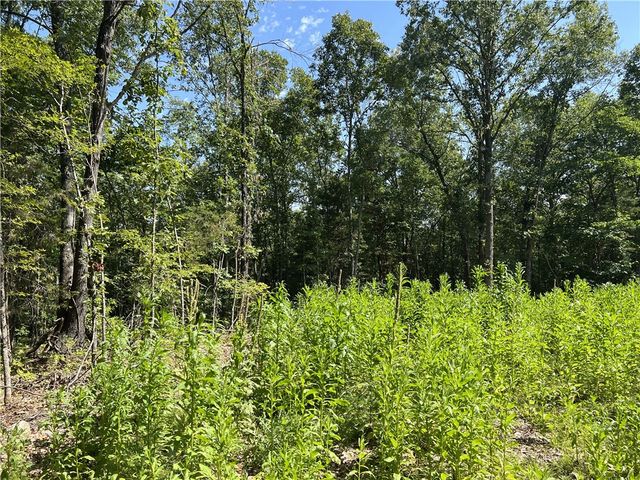 47 Cedar Creek Drive, Harrison, AR 72601