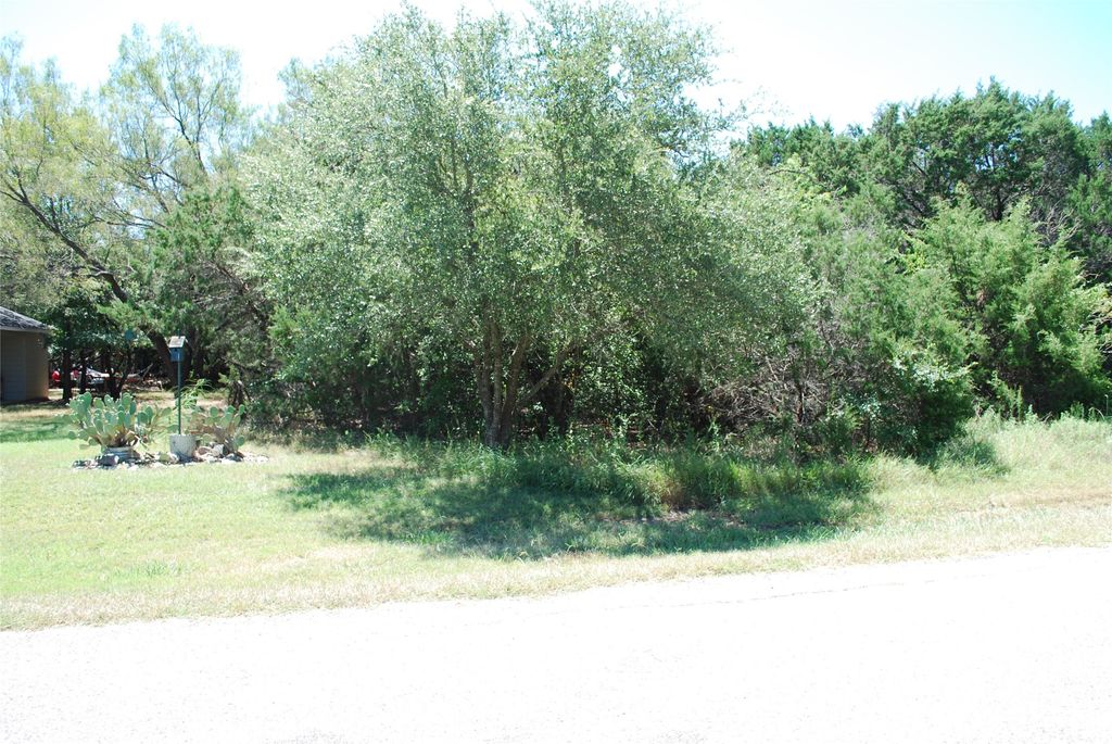 44155 Whisperwood Drive, Whitney, TX 76692