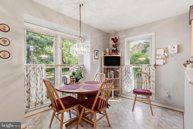 11411 ORCHARD GREEN CT, Reston, VA 20190