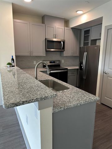 6955 Turtlewood Drive 502, Houston, TX 77072