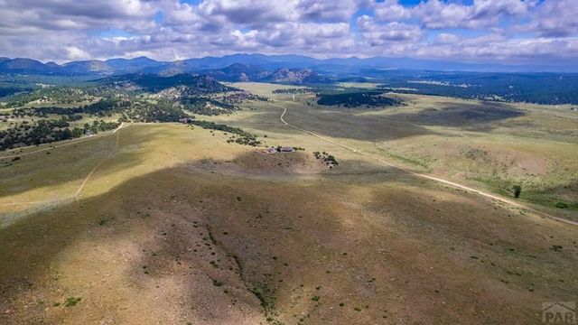 1115 County Rd 319, Westcliffe, CO 81252