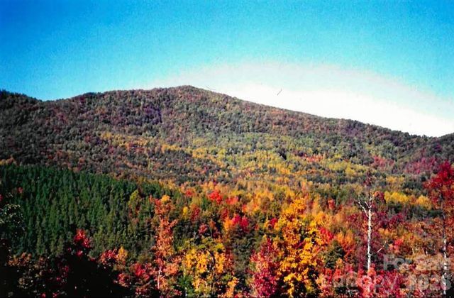 000 Froggyville Lane, Mill Spring, NC 28756