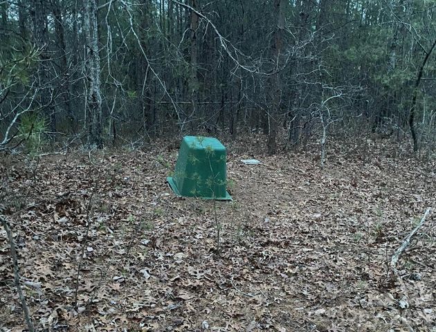 000 Froggyville Lane, Mill Spring, NC 28756