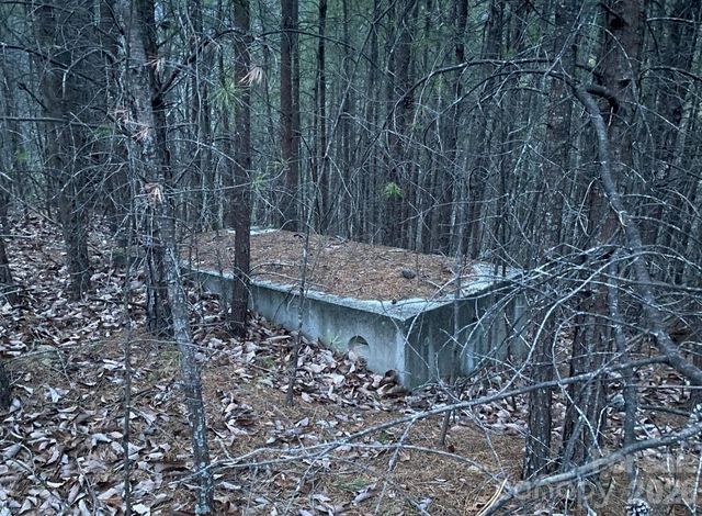 000 Froggyville Lane, Mill Spring, NC 28756