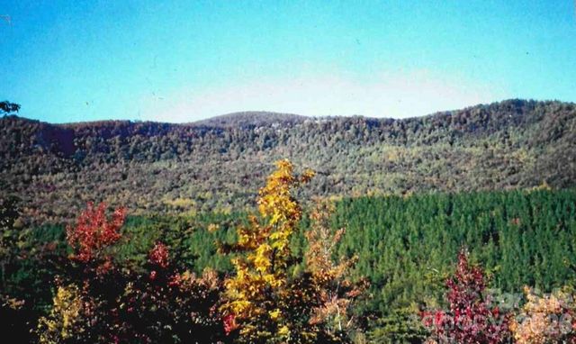 000 Froggyville Lane, Mill Spring, NC 28756