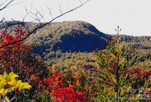 000 Froggyville Lane, Mill Spring, NC 28756