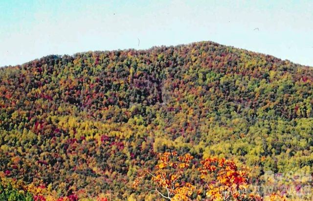 000 Froggyville Lane, Mill Spring, NC 28756