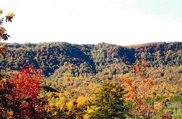 000 Froggyville Lane, Mill Spring, NC 28756