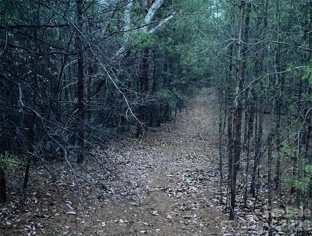 000 Froggyville Lane, Mill Spring, NC 28756