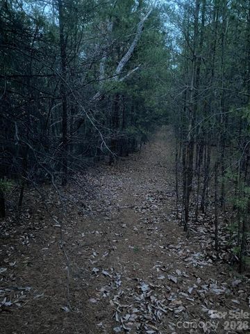 000 Froggyville Lane, Mill Spring, NC 28756