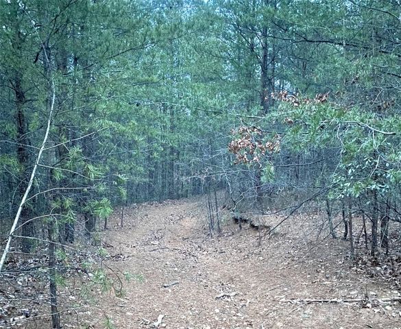 000 Froggyville Lane, Mill Spring, NC 28756