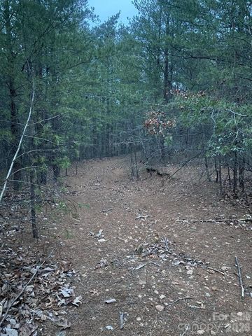 000 Froggyville Lane, Mill Spring, NC 28756