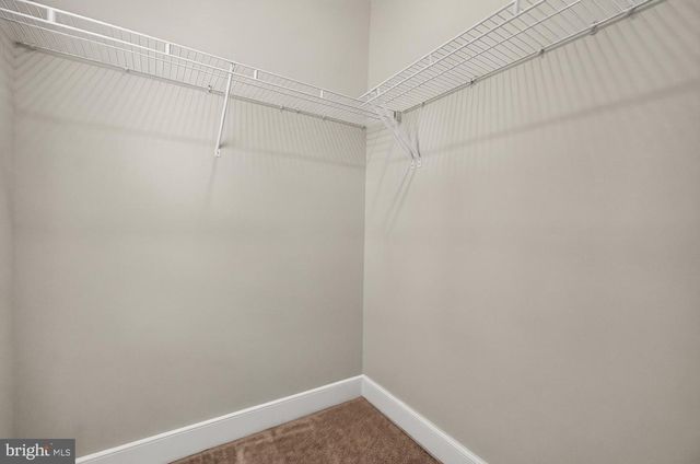 1206 LAWLER DR, Frederick, MD 21702