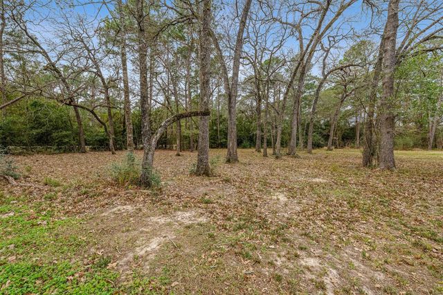 24231 Marshburn Drive, Hockley, TX 77447