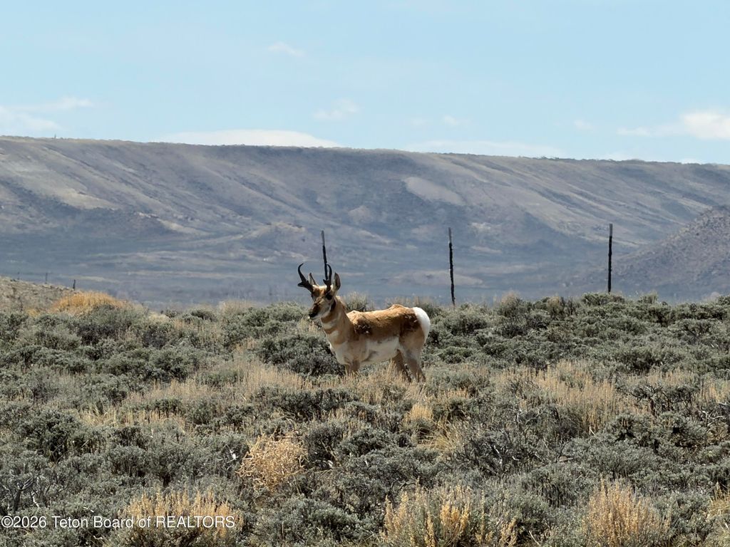 LOT 3 OSAGE Trail, Boulder, WY 82923 photo 8