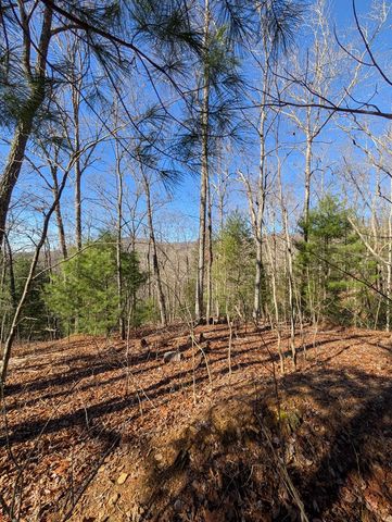 LOT 31 Tower Falls Lane, Hayesville, NC 28904