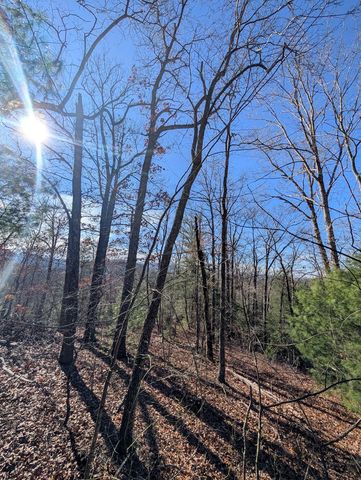 LOT 31 Tower Falls Lane, Hayesville, NC 28904