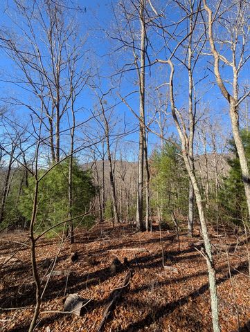 LOT 31 Tower Falls Lane, Hayesville, NC 28904