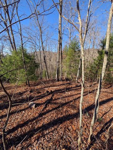 LOT 31 Tower Falls Lane, Hayesville, NC 28904