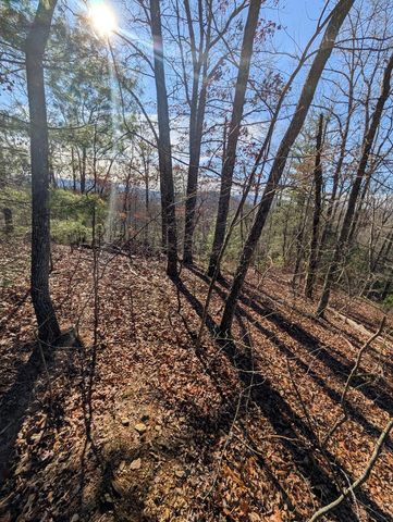 LOT 31 Tower Falls Lane, Hayesville, NC 28904