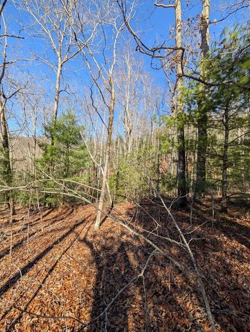 LOT 31 Tower Falls Lane, Hayesville, NC 28904