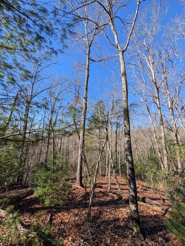 LOT 31 Tower Falls Lane, Hayesville, NC 28904