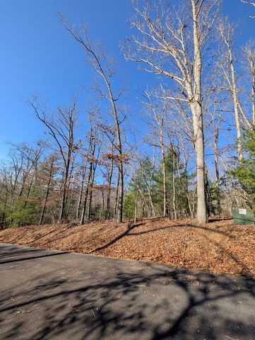 LOT 31 Tower Falls Lane, Hayesville, NC 28904