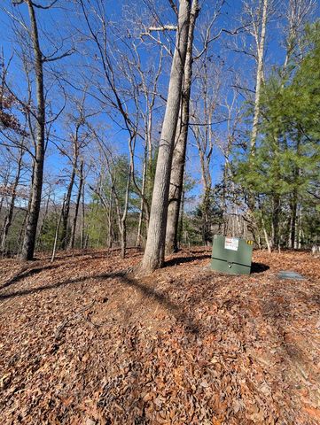LOT 31 Tower Falls Lane, Hayesville, NC 28904