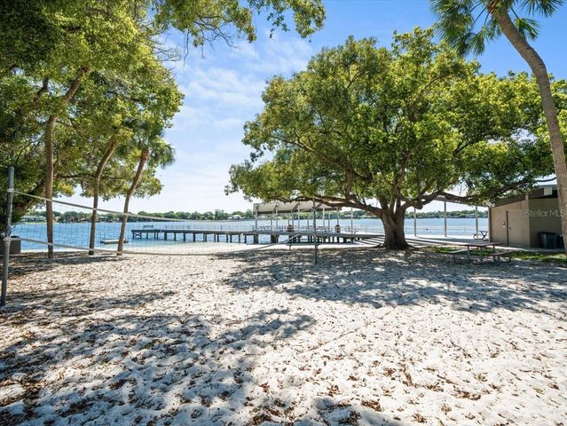 10603 CARROLLBROOK WAY 10603, Tampa, FL 33618
