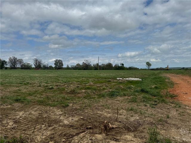 Tract B Old Cincinnati Road, Lincoln, AR 72744