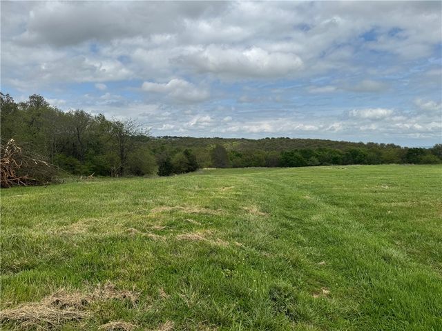 Tract B Old Cincinnati Road, Lincoln, AR 72744