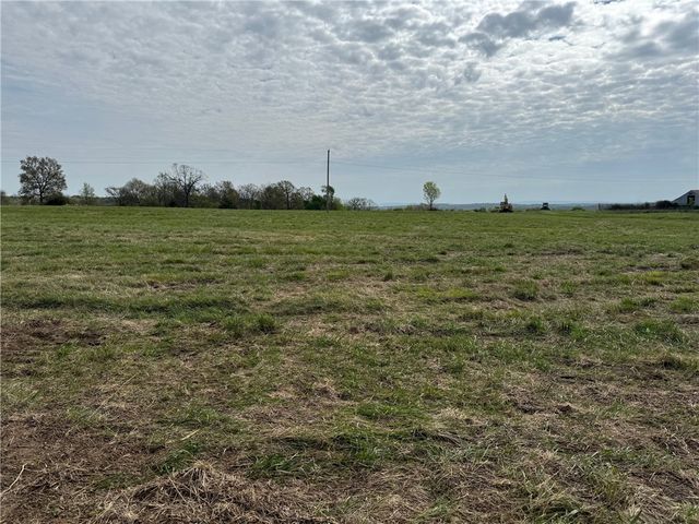 Tract B Old Cincinnati Road, Lincoln, AR 72744