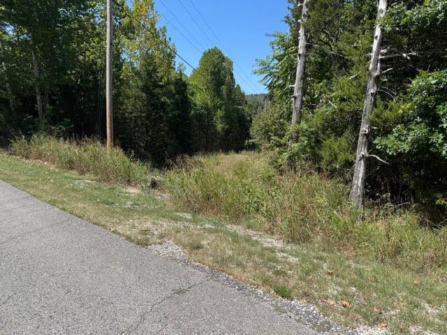 13 White River Lane, Holiday Island, AR 72631