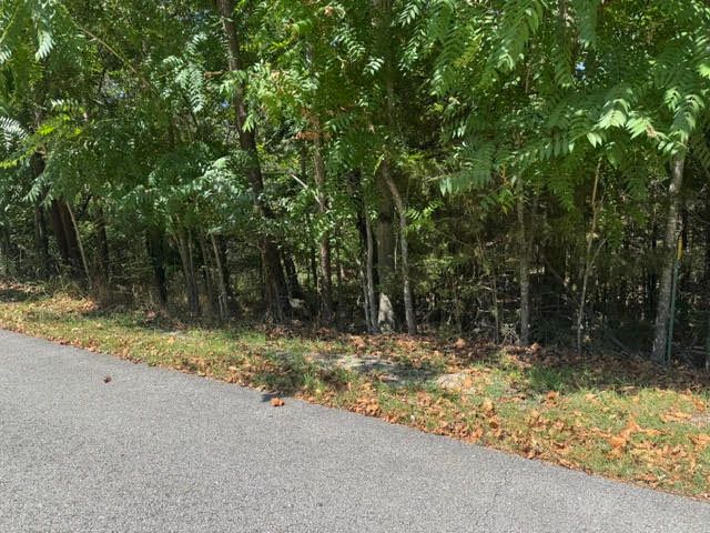 13 White River Lane, Holiday Island, AR 72631