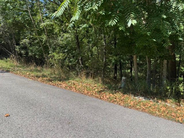 13 White River Lane, Holiday Island, AR 72631
