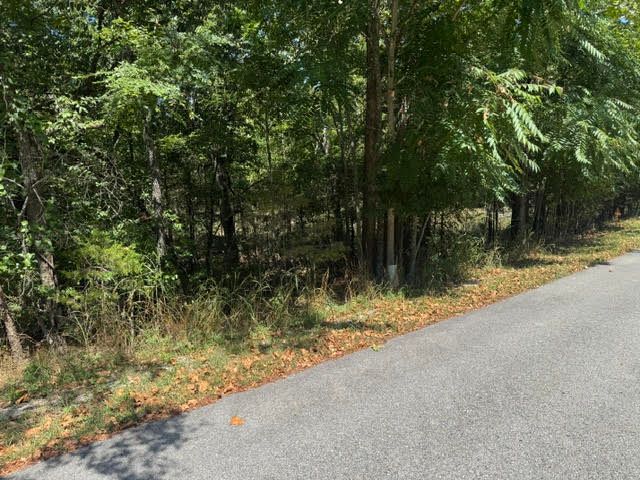 13 White River Lane, Holiday Island, AR 72631