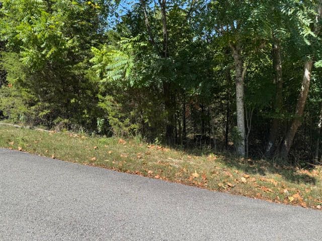 13 White River Lane, Holiday Island, AR 72631