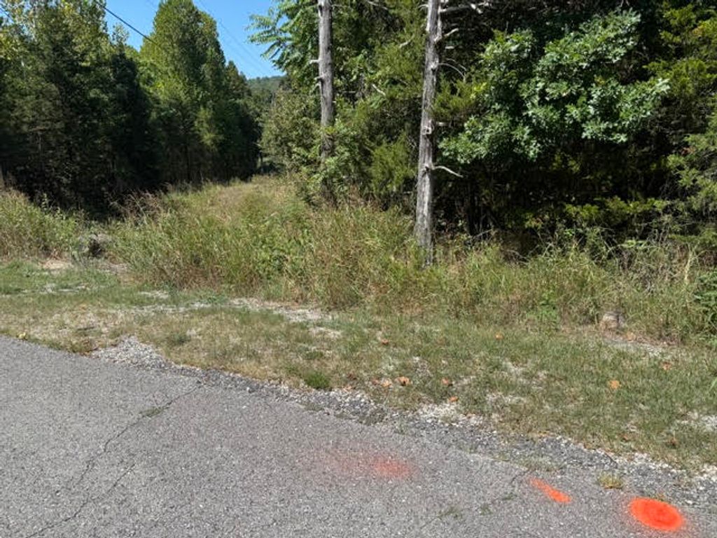 13 White River Lane, Holiday Island, AR 72631