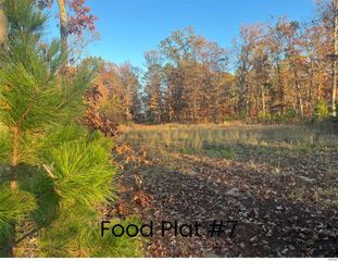 0 Tract 2 (160+/- acres) Lodge Road, Potosi, MO 65441