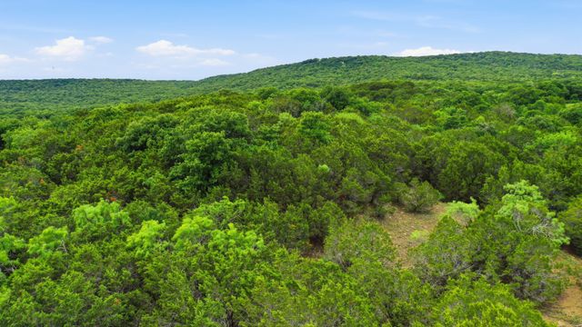 TBD Dobbs Valley Road, Millsap, TX 76066