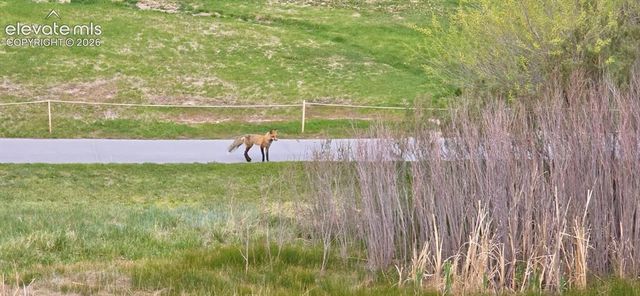 8740 Royal Melbourne Circle, Peyton, CO 80831