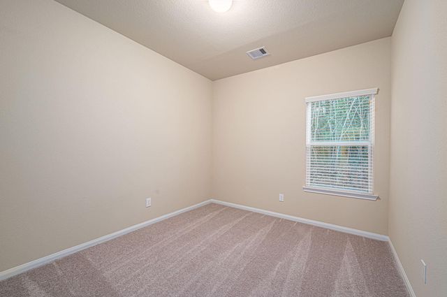 12153 Goliad Lane, Willis, TX 77378